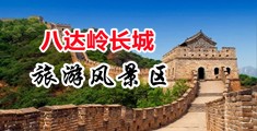 鸡巴抽插骚逼网站中国北京-八达岭长城旅游风景区